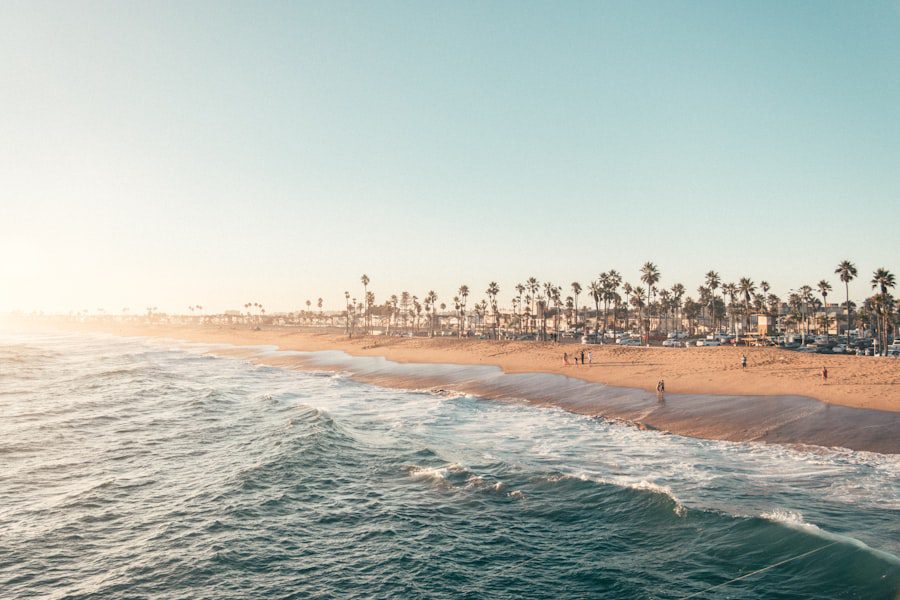 Unlocking Sustainable Success: Atlantic Real Estate Solutions in 2025